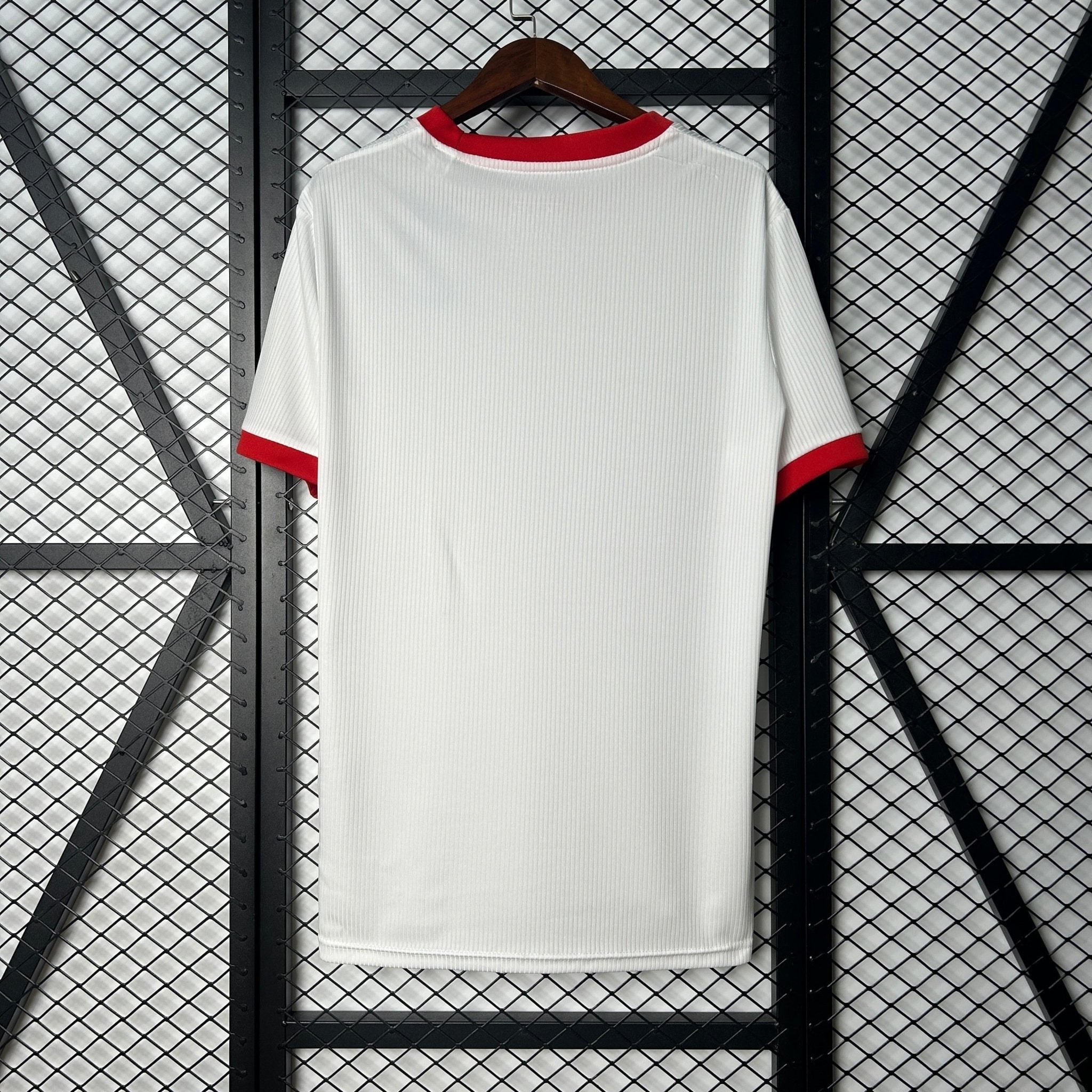 CAMISETA BENFICA EQUIPACION ESPECIAL 25/26 HOMBRE - Bota de Oro Tienda