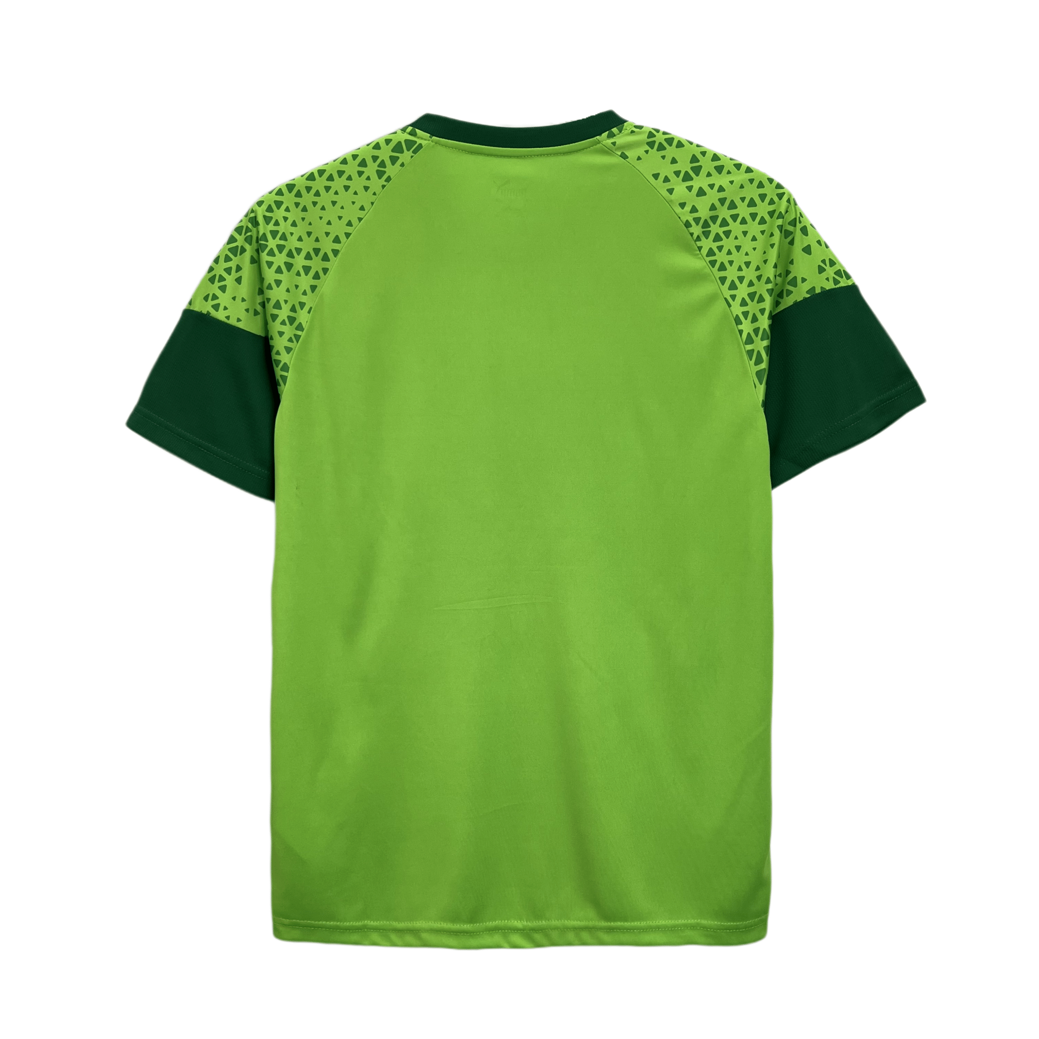 PALMEIRAS ENTRENAMIENTO ROPA VERDE HOMBRE - Bota de Oro Tienda